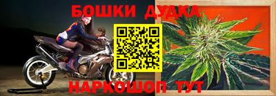 хмурый Абакан