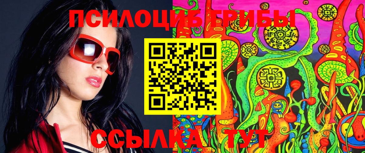 Алушта  где можно купить наркотик  Вход с VPN  Псилоцибиновые грибы Psilocybe 
